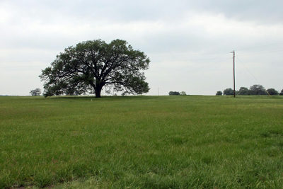 00 Brushy Branch Rd — photo 2