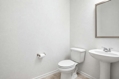 133 Vinca Minor Cv — photo 4