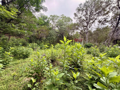 20900 Mohawk St — photo 3