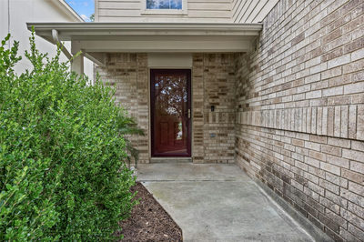 198 Black Forest — photo 3