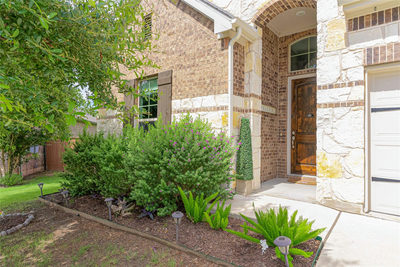 142 Rapid Springs Cv — photo 4