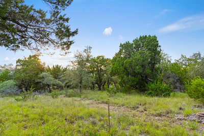 31890 Mirela Ann Rd — photo 2