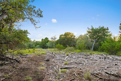31890 Mirela Ann Rd — photo 4
