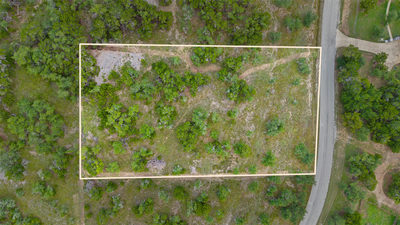 31890 Mirela Ann Rd — photo 5