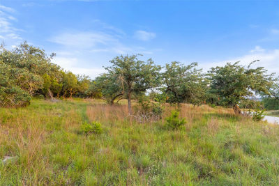 31930 Mirela Ann Rd — photo 5