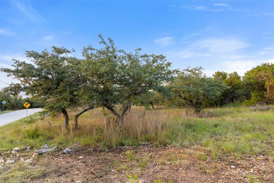 31930 Mirela Ann Rd — photo 4