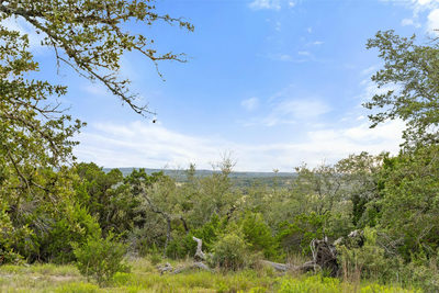 31860 Mirela Ann Rd — photo 4