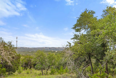 31860 Mirela Ann Rd — photo 5
