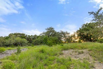 31860 Mirela Ann Rd — photo 3