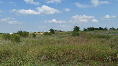 1701 County Road 417 — photo 4