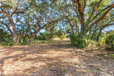 Lot 160 Brumley View Ct — photo 2