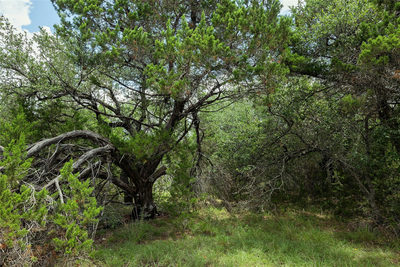179 Shawnee Trl — photo 3