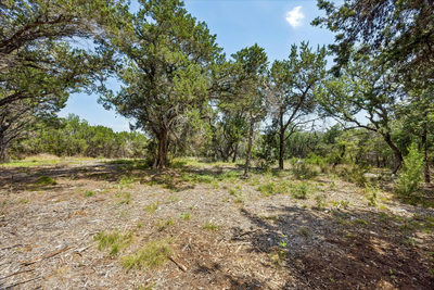 175 Spanish Oak Ln — photo 4