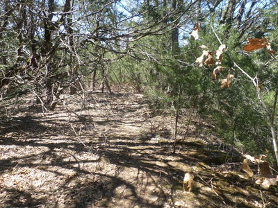 273 Unit H Walter Hoffman Rd — photo 3