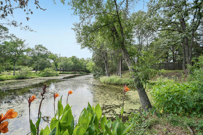 139 Meadow Creek Dr — photo 2