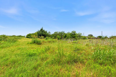 6407 Taylorsville Rd — photo 4