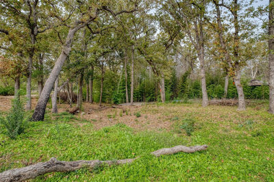 201 Artesian Dr — photo 3