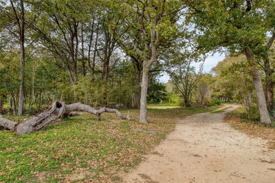 201 Artesian Dr — photo 2