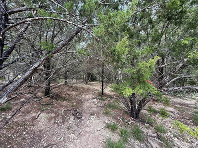 1709 Long Bow Dr — photo 4