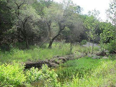 350 Bluff Rd — photo 3