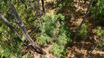 Lot 232 Hekili Dr — photo 5