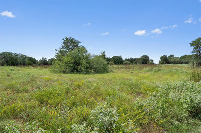 000 Josie Ln — photo 3