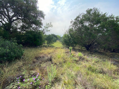 Lot 32 Pedernales Oaks Dr — photo 5