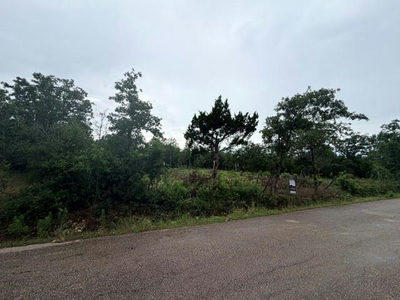 000 McDonald Ln W — photo 5