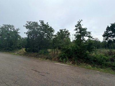 000 McDonald Ln W — photo 3