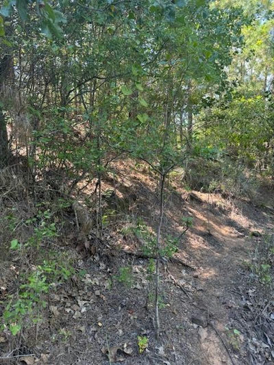 Lot 1355 N Kaupo Dr — photo 5