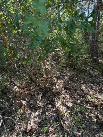 Lot 1355 N Kaupo Dr — photo 4