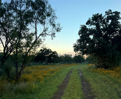 TBD FM 1980 tract 1 — photo 2