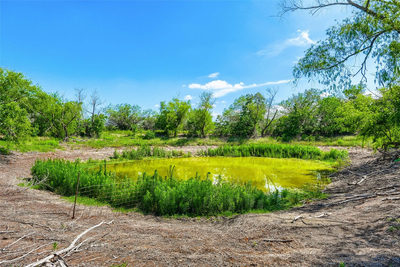 401 Graef Rd — photo 5