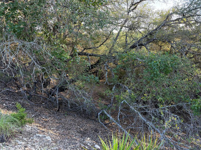 3100 Marshall Ave — photo 4