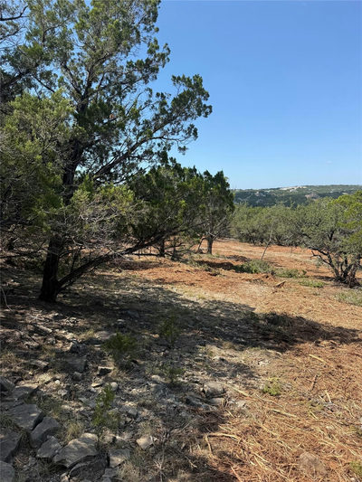 0000 Bee Creek Rd — photo 5