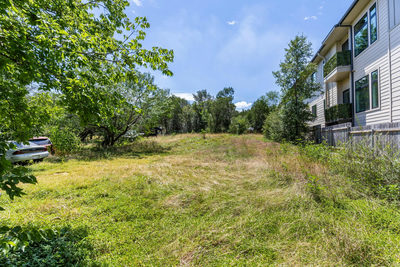 1813 Webberville Rd — photo 5