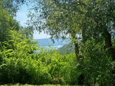 18201 Gregg Bluff Rd — photo 3