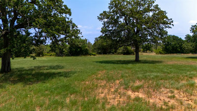 000 Cattlemens Row Rd — photo 2