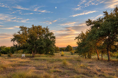 7275 Creek Rd — photo 4