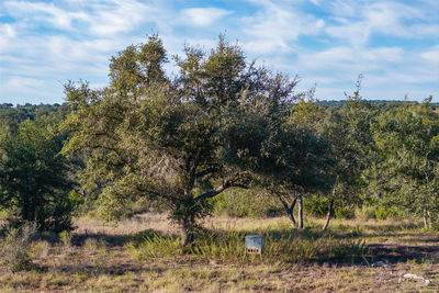 7275 Creek Rd — photo 5