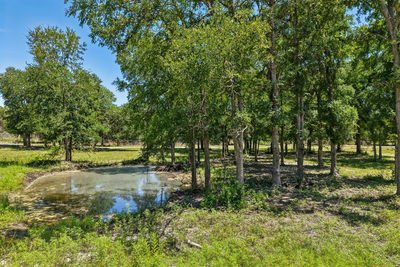 9240 County Road 272 — photo 2