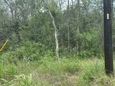189 Puu Waa Waa Ln — photo 4
