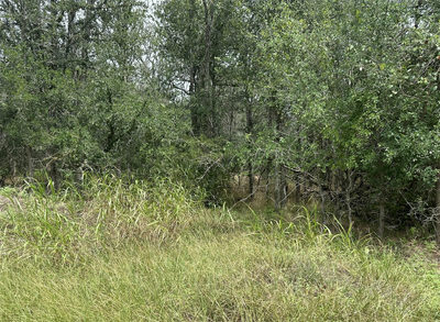 109 Halawa Ct — photo 3