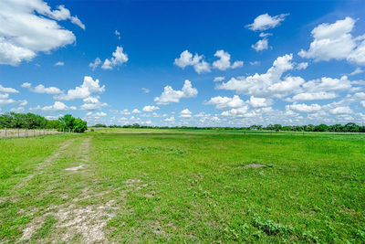 3109 Tenney Creek Rd — photo 4