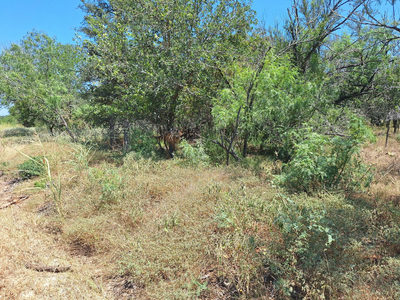 Lot 1112 Kawanui Dr — photo 3