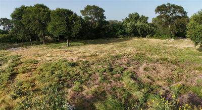 1505 Bastrop Hwy — photo 3