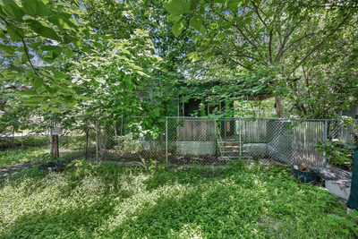 11002 Highway Fm 969 Rd — photo 4