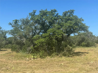 5 Back Bone creek Dr — photo 2