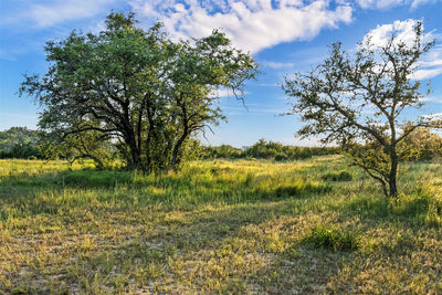 5012 - 1 Hupedo Ranch Rd #1 — photo 4
