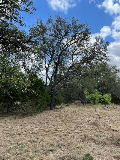 302 Vista View Trl — photo 4